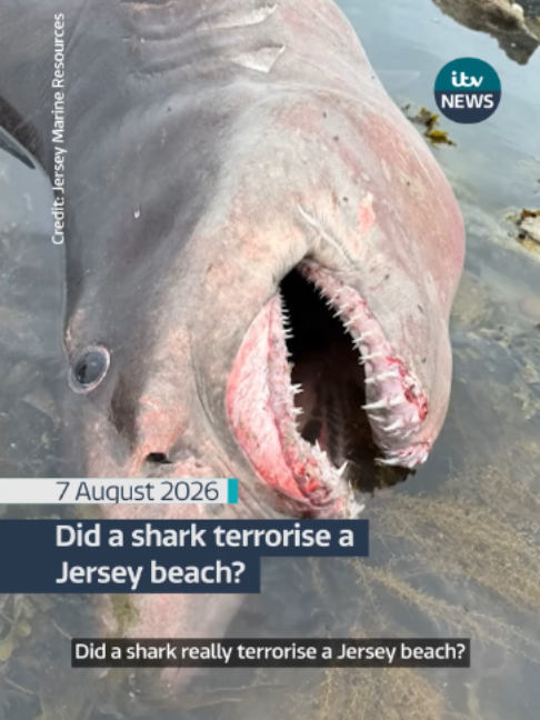 @ITV News