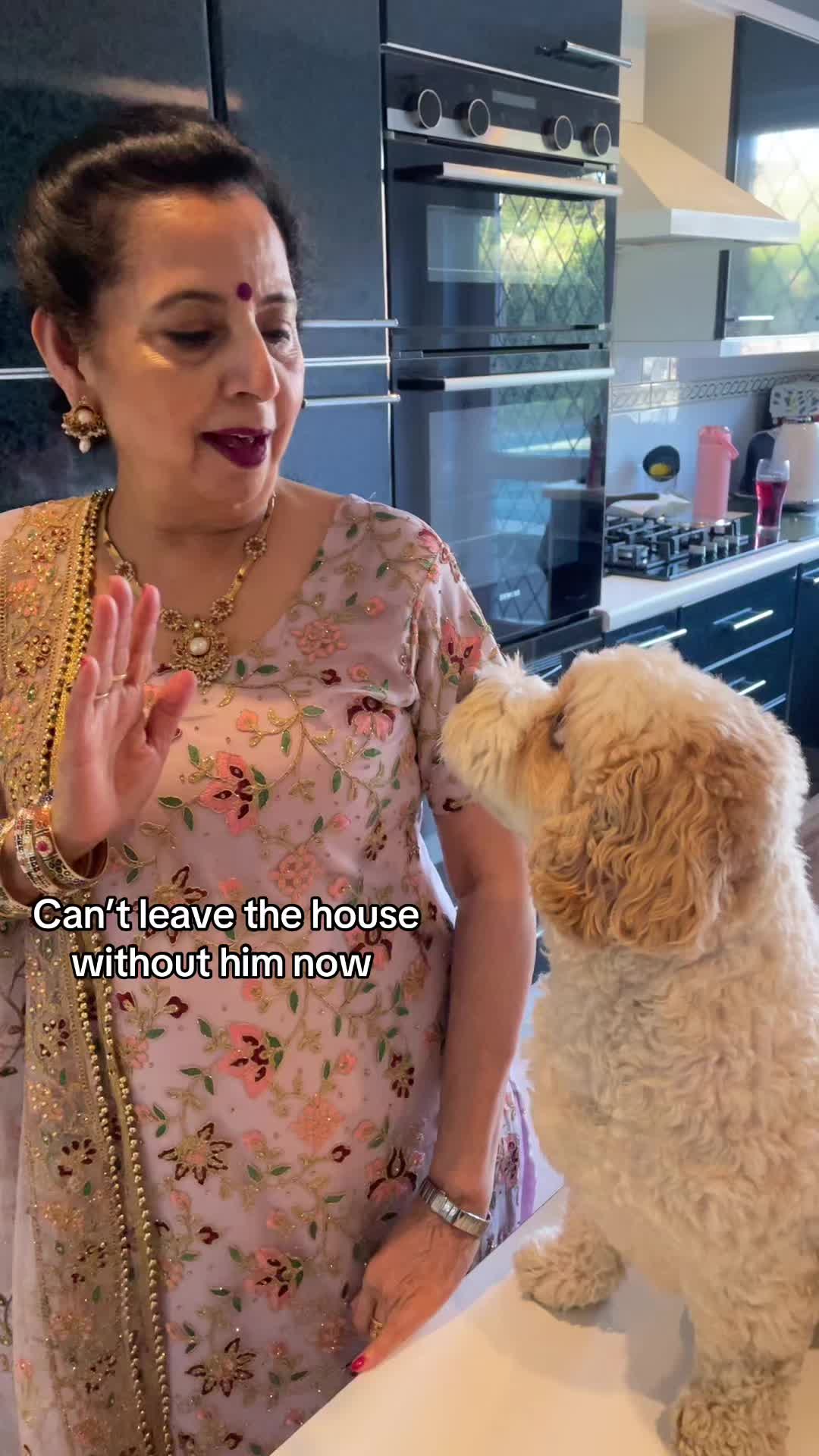 @My Cavachon