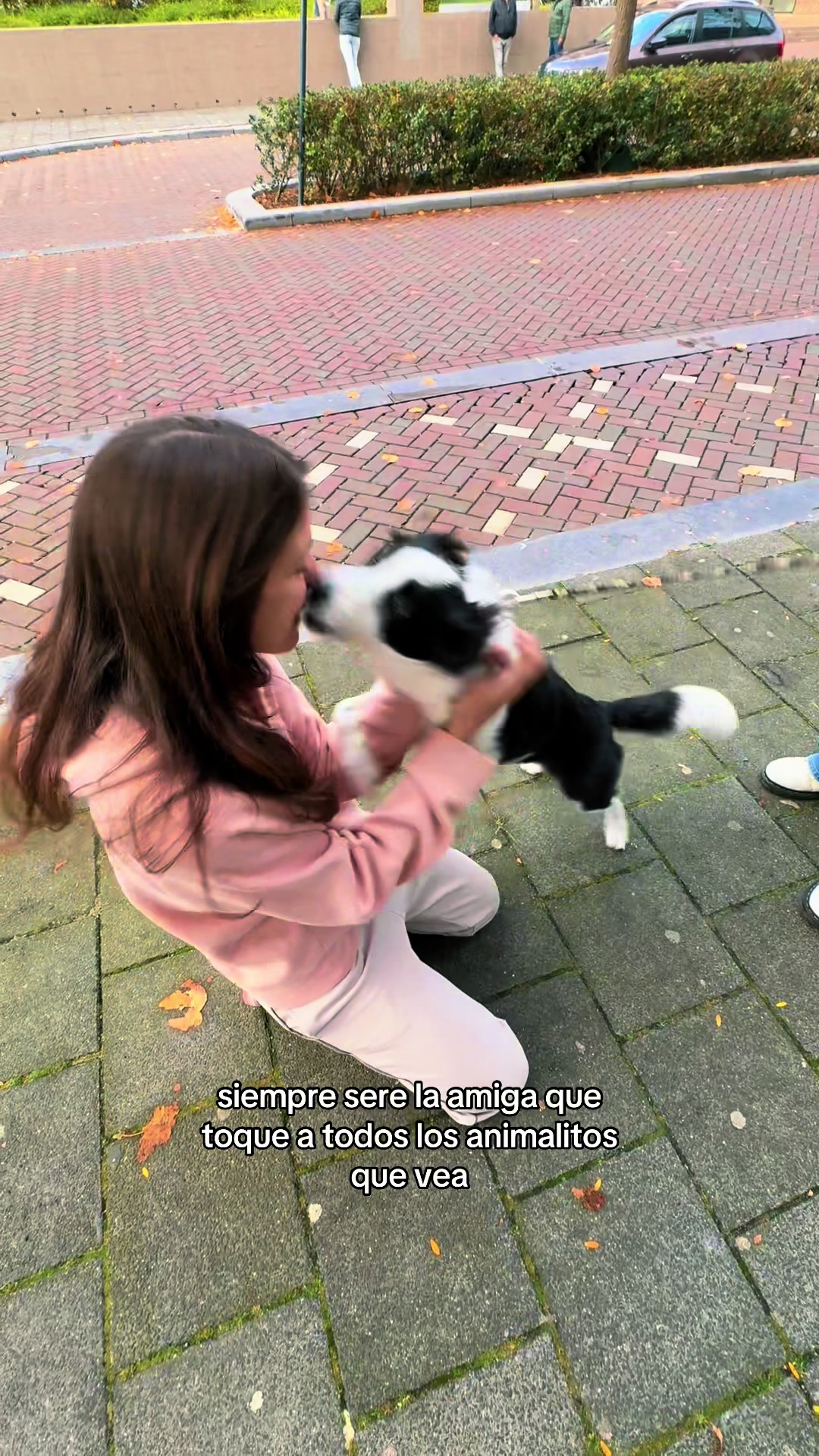 @anita
