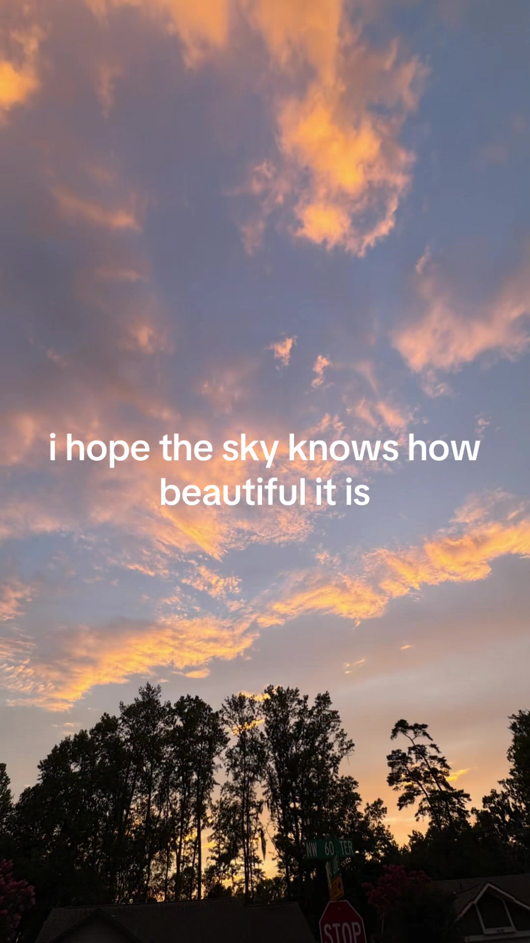 @leo
