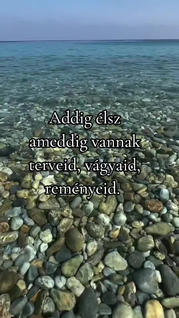 @@ meszi68