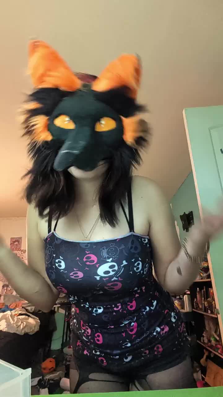 @🐾Sora🦊