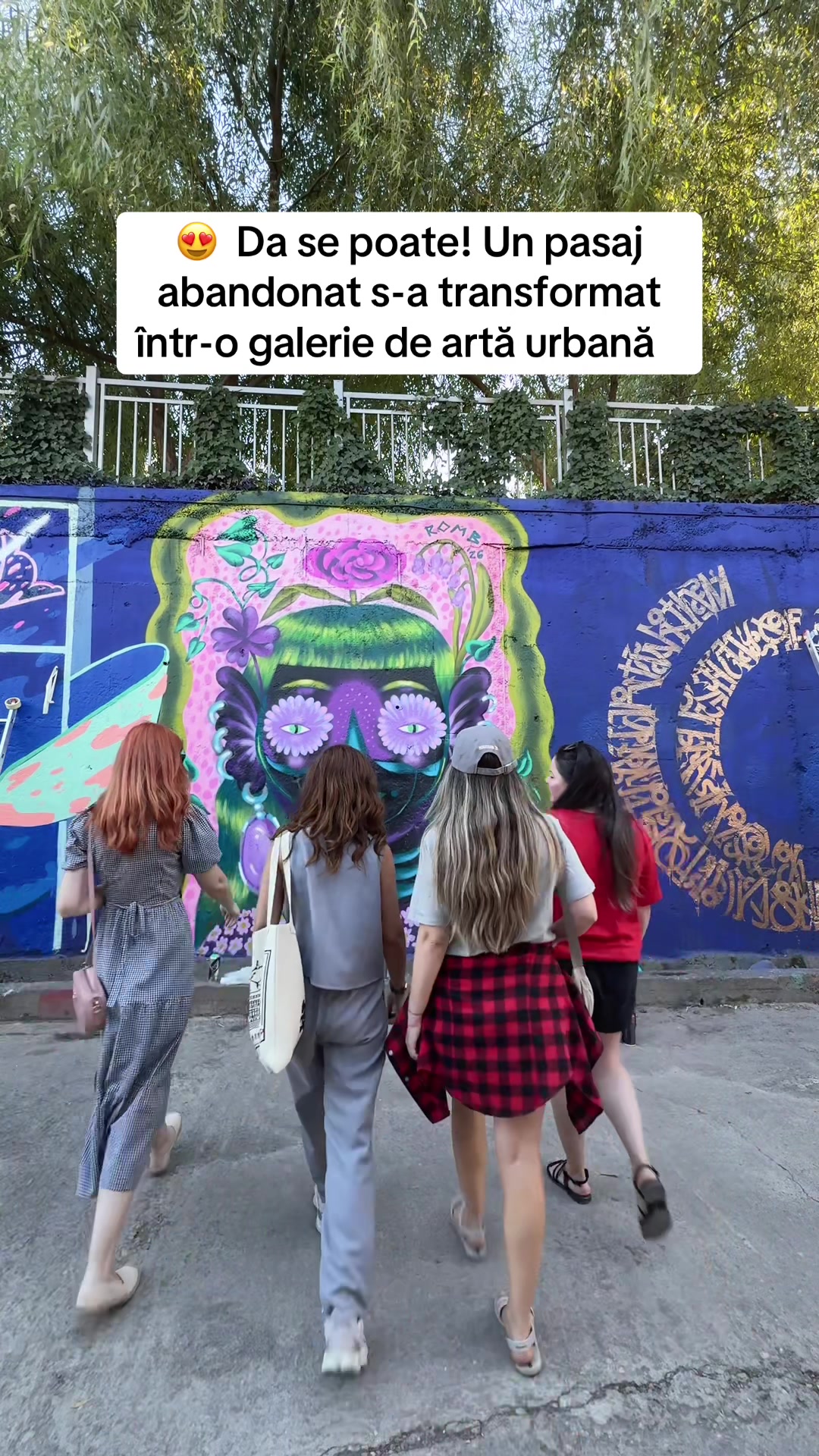 @surorilecalatoare