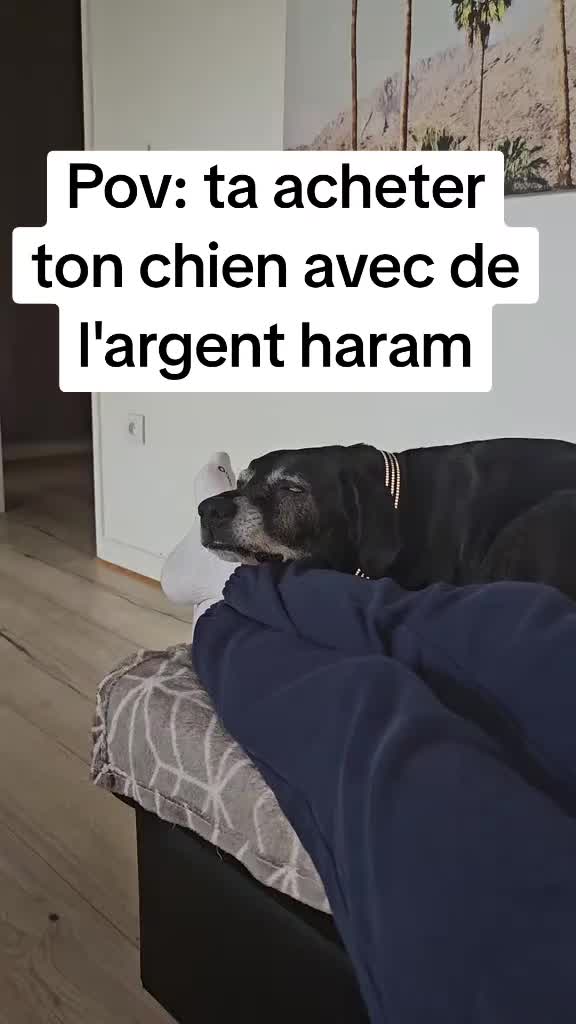 @Neïko Neïko