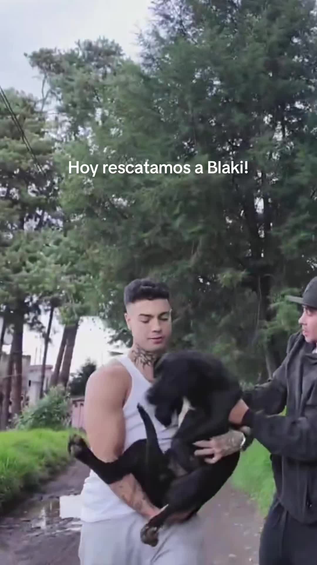 @Naimdarrechi