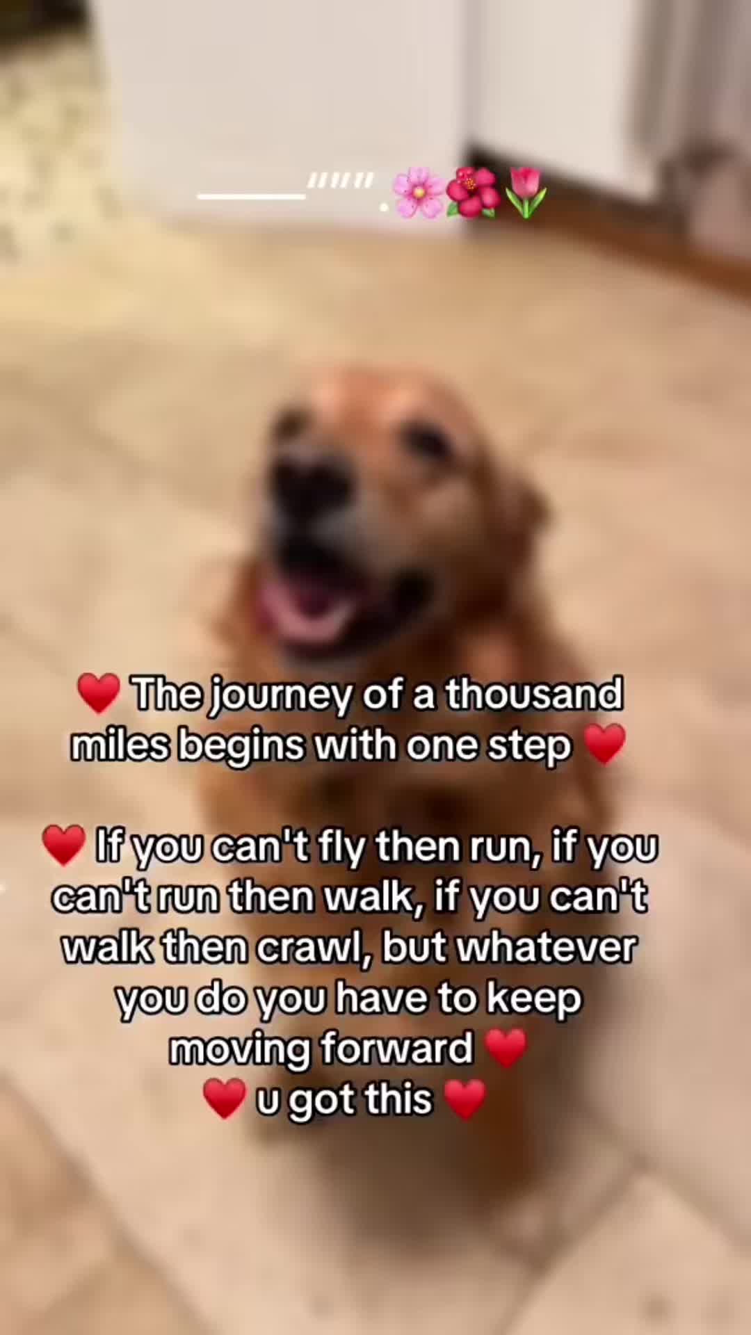 @Happy buddy