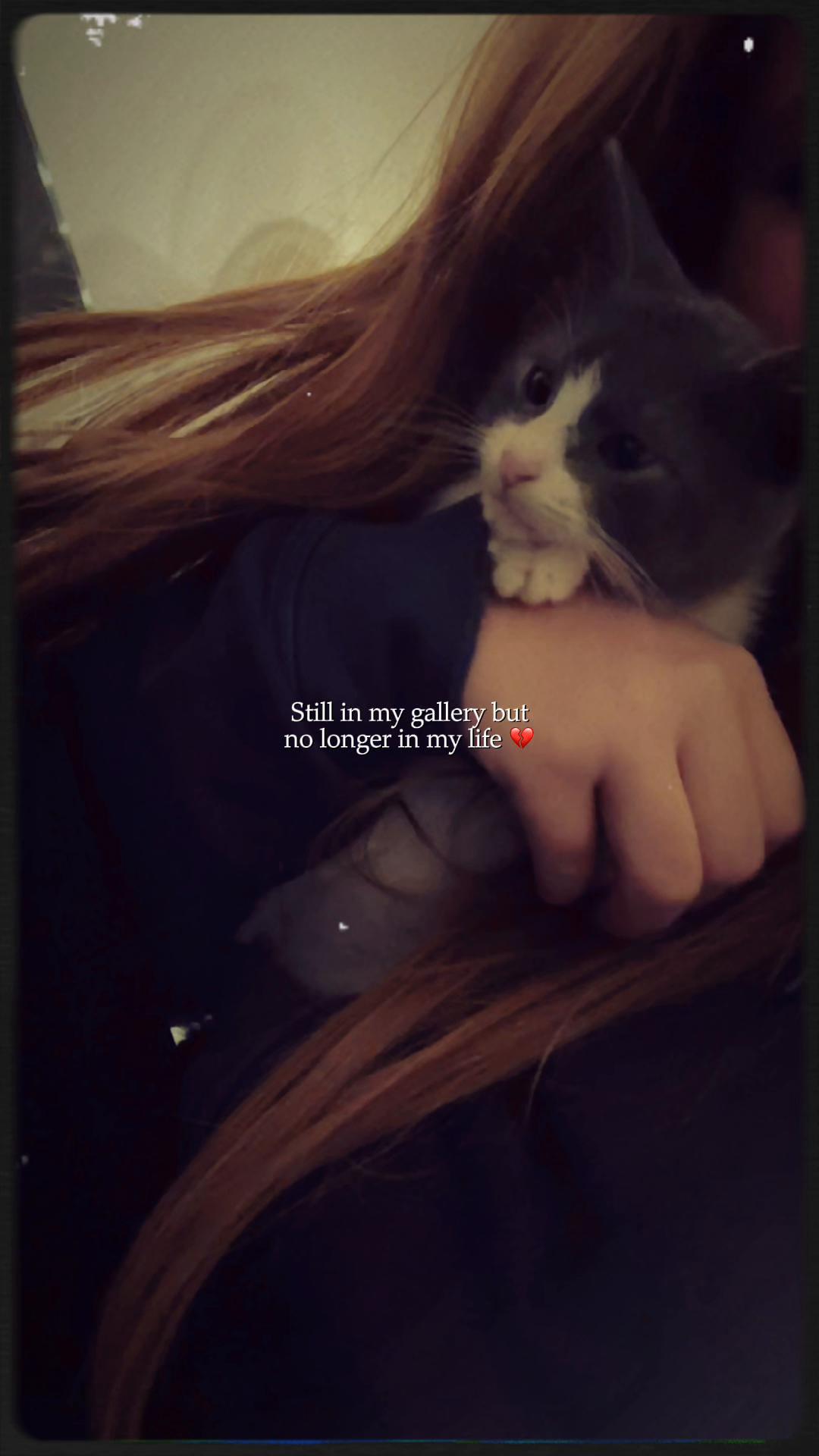 @vivi