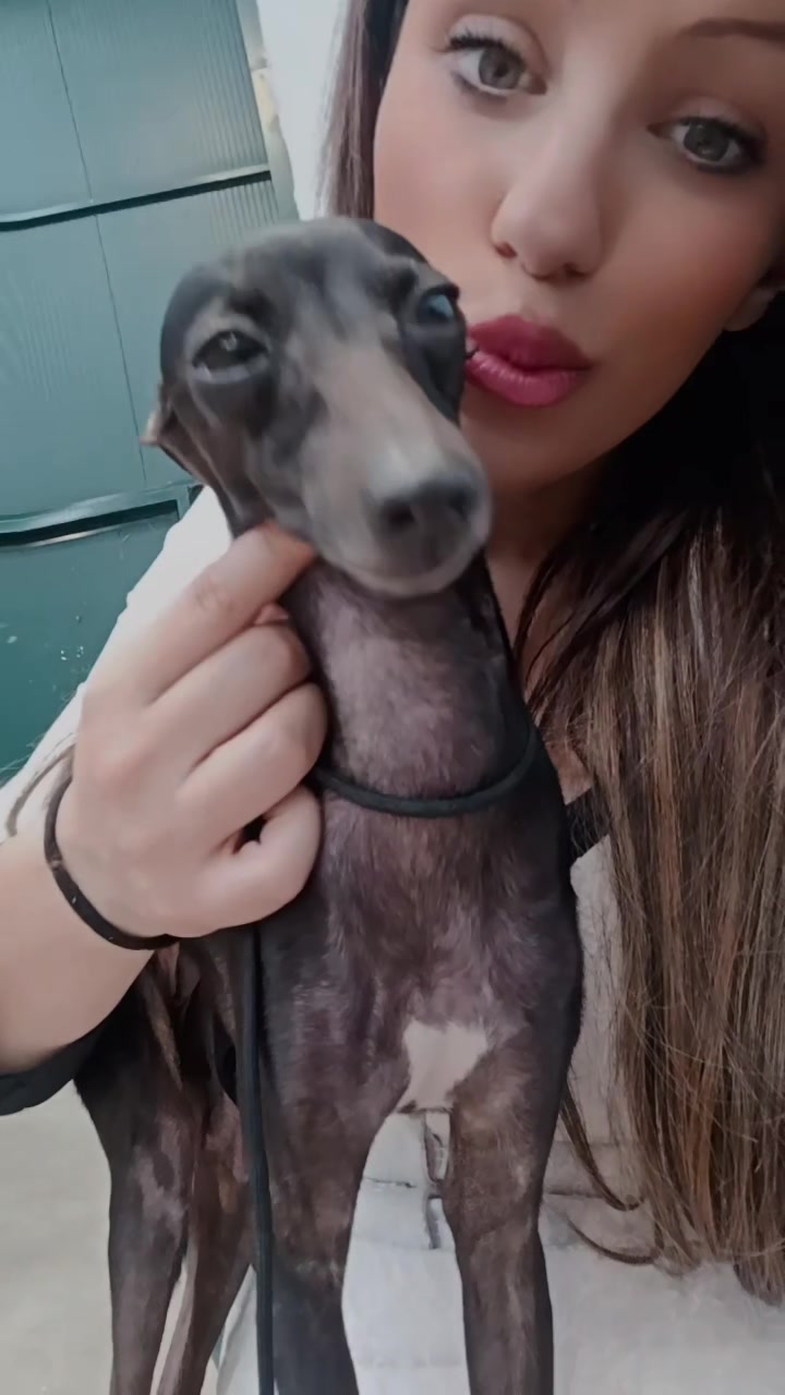 @Elisa Esposito