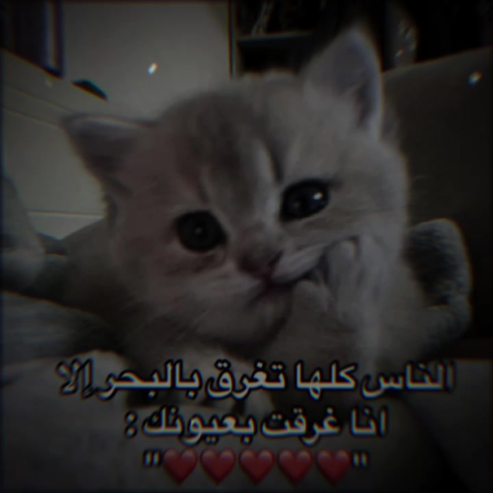 @الہَِ حمووشة|🖤؟.