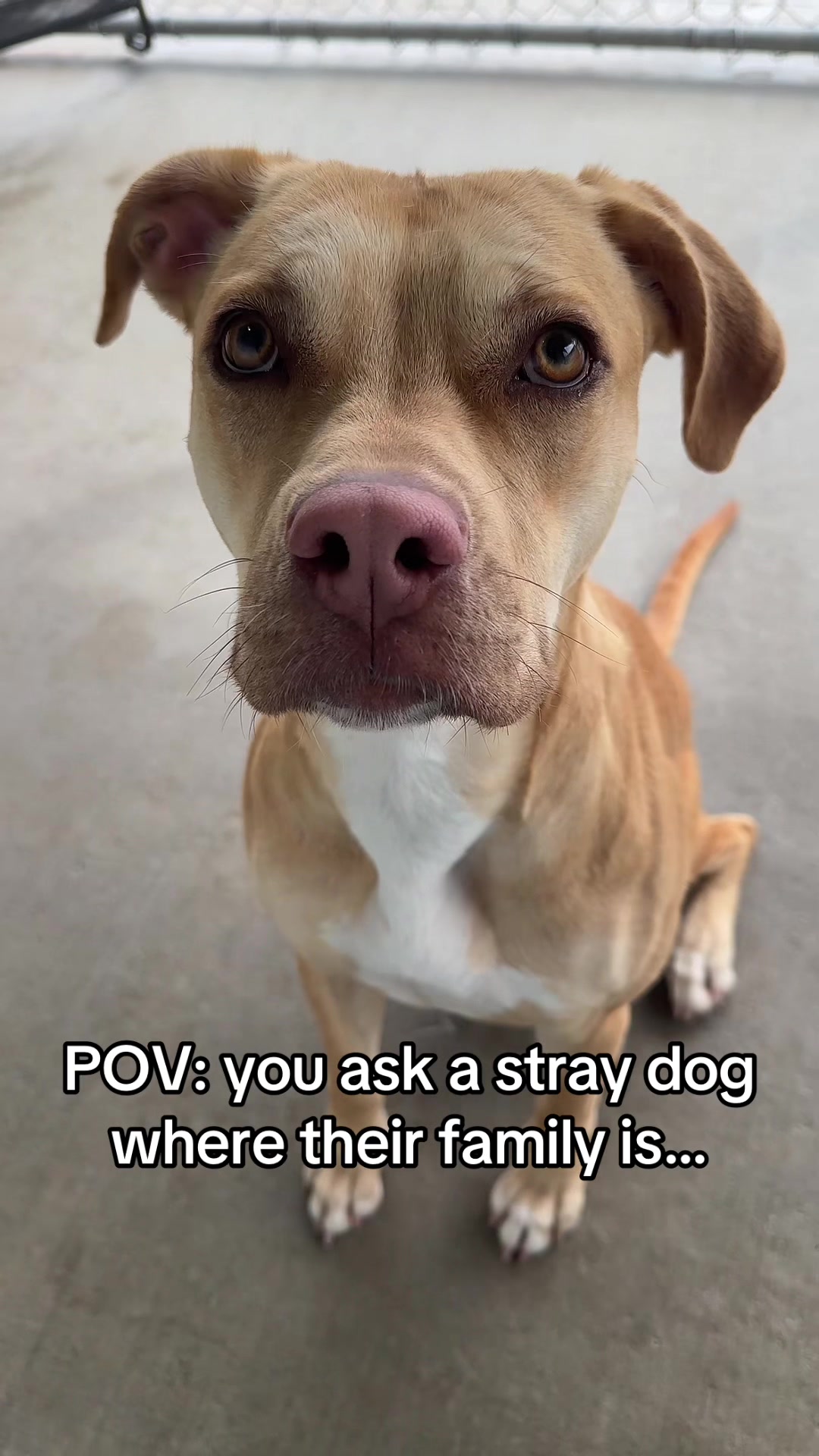 @CambridgeHumaneSocty