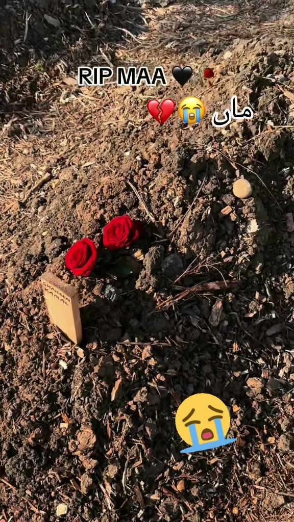 @🌹G U L A B O🌹
