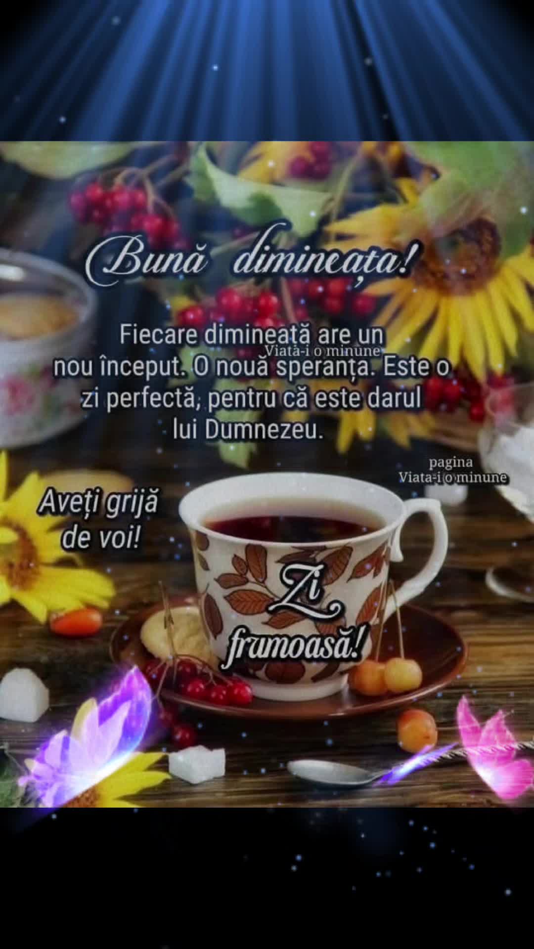 @Nicolae Iamandi Marin
