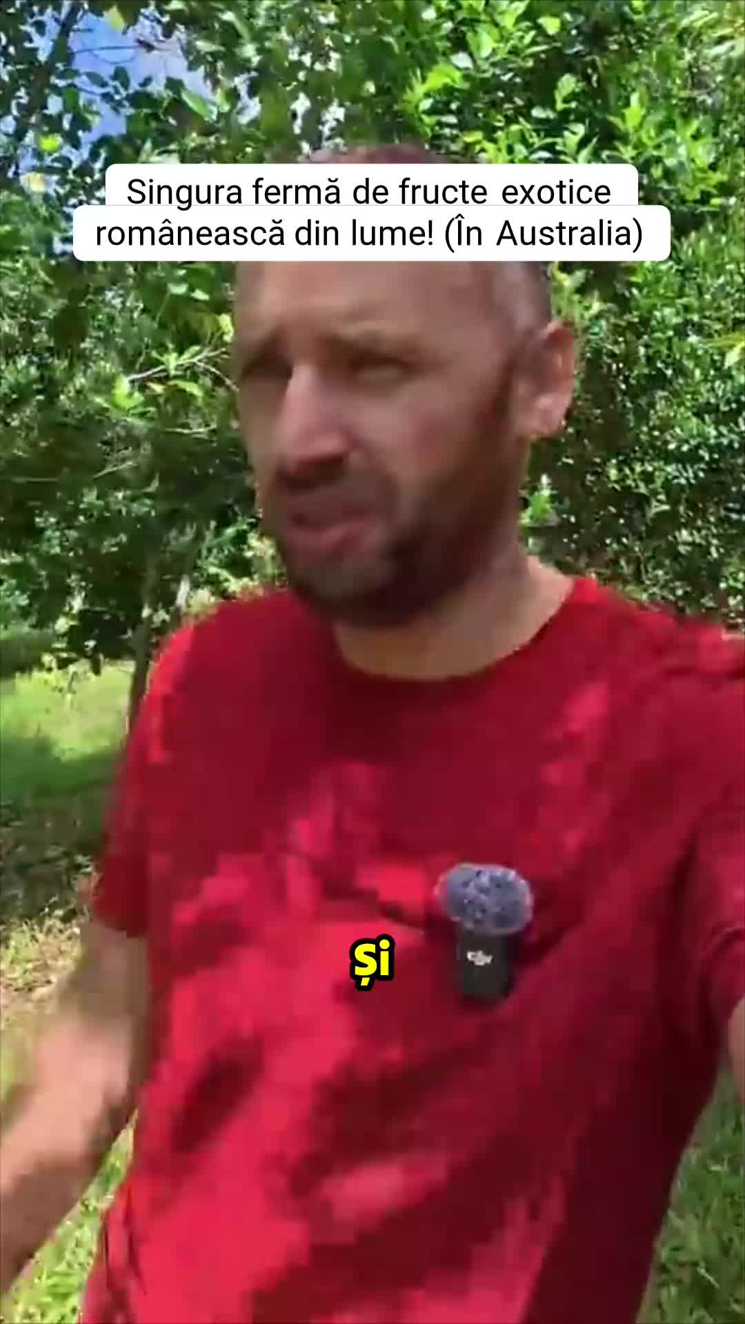 @sorinaa