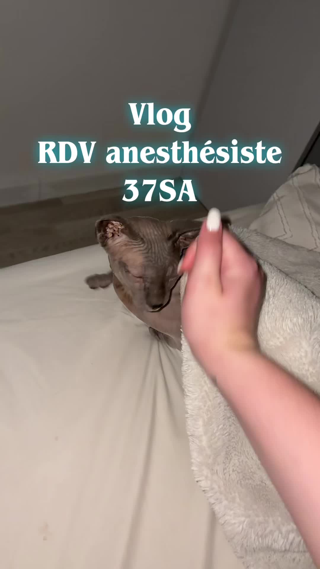 @Alicia