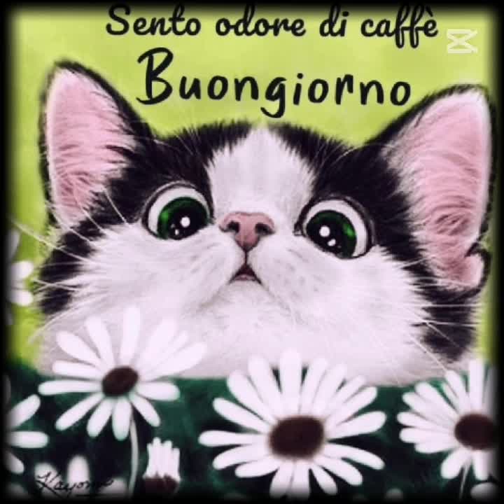 @Bongy