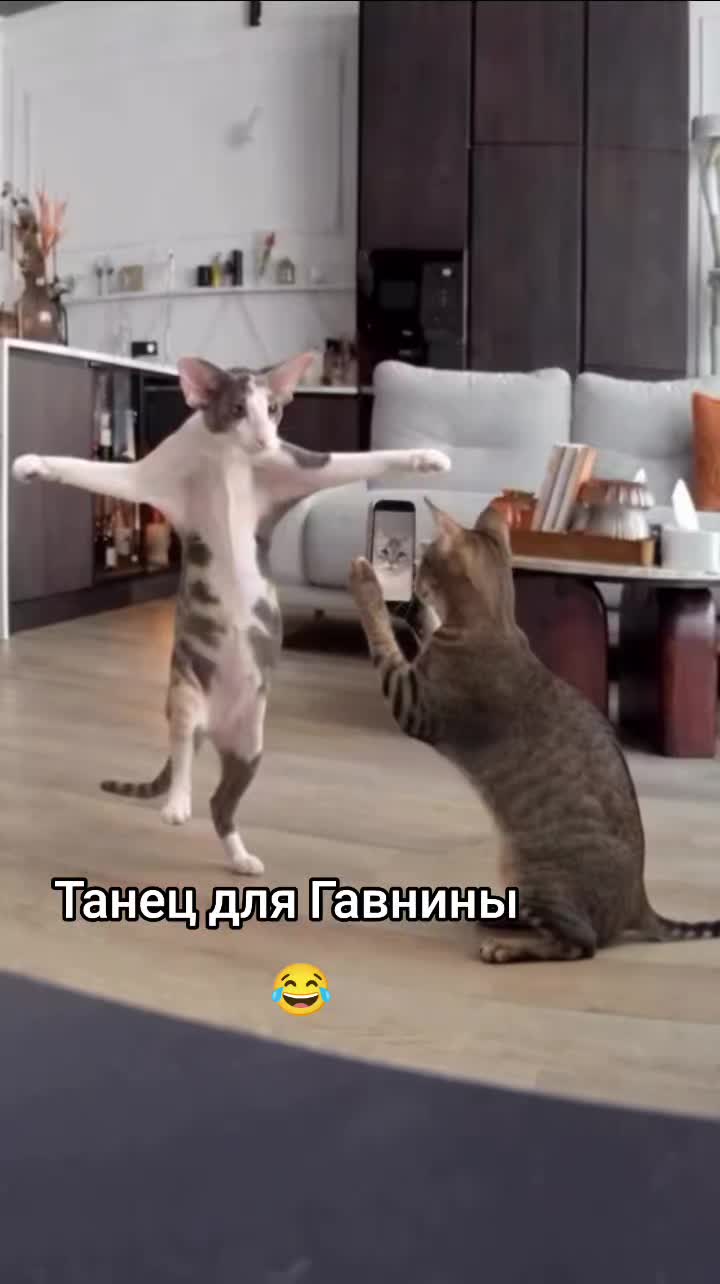 @•Фёкла́•𝓕ё𝓀𝓁𝒶
