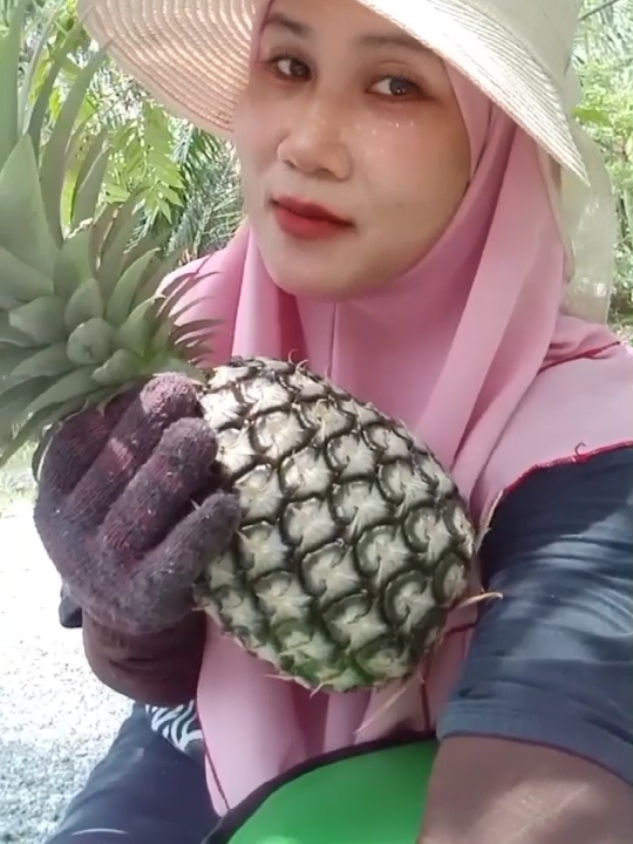 @🌸꧁♡︎ℕ𝕒𝕒𝕒7🍉꧂🌸