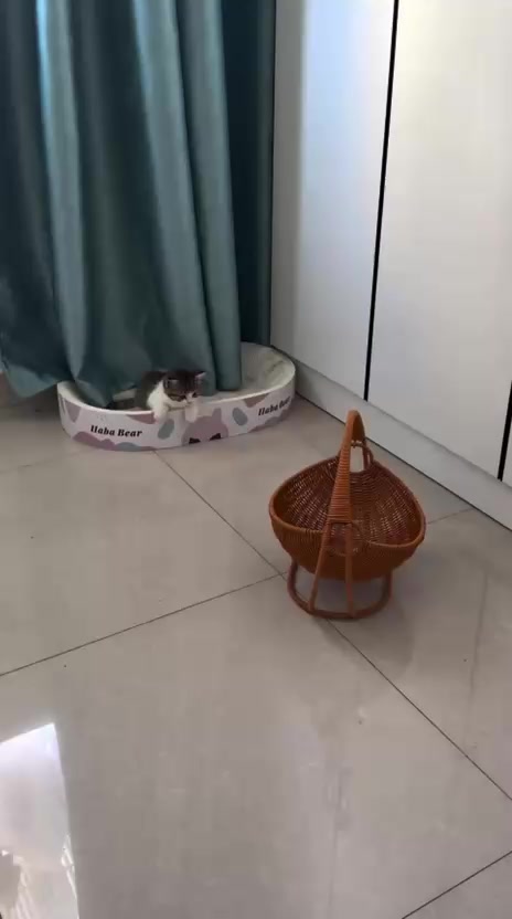 @Funny