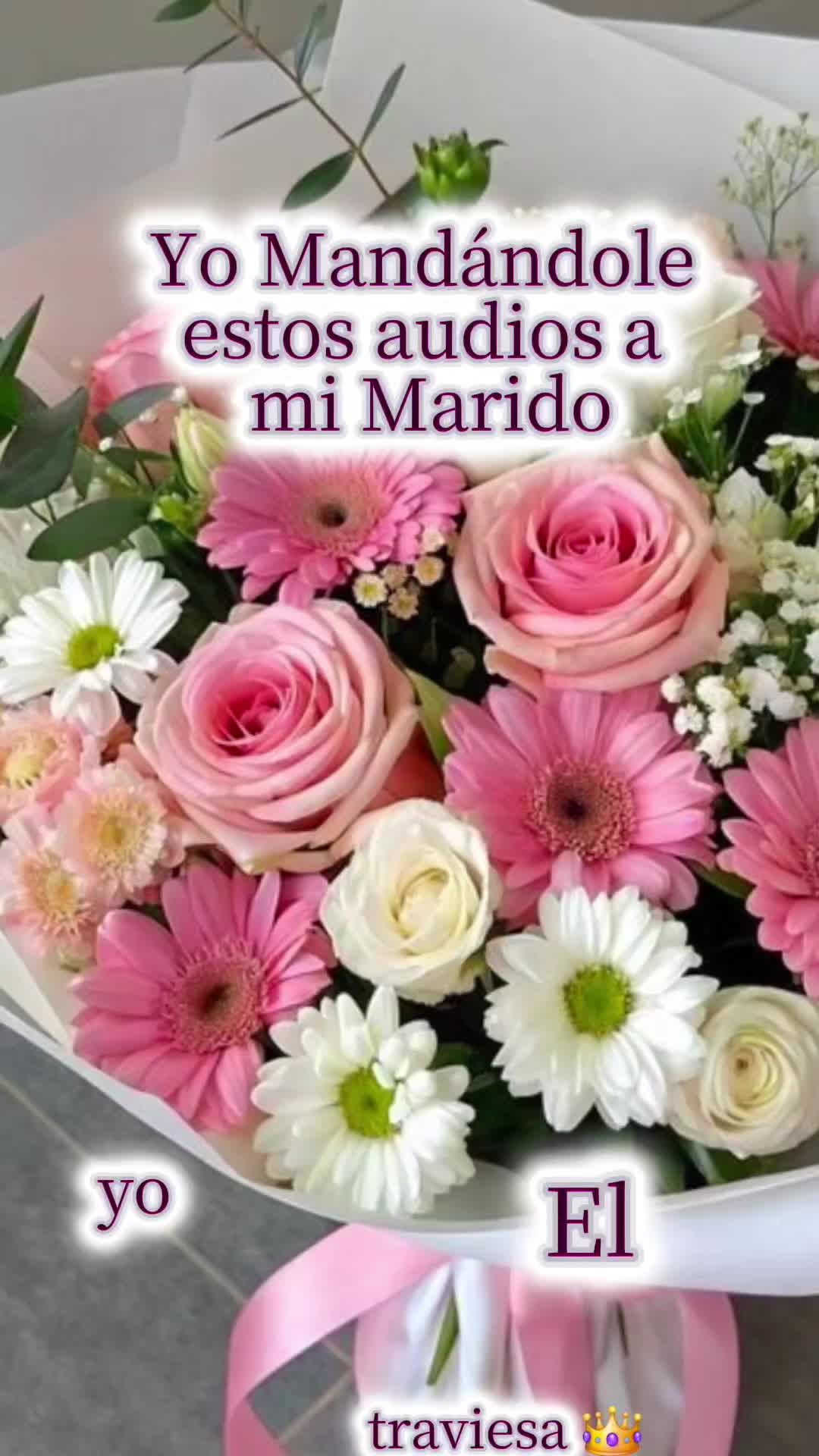 @Traviesa12👑