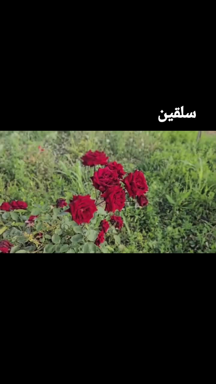 @🐊تٌمًسِآحً🥉