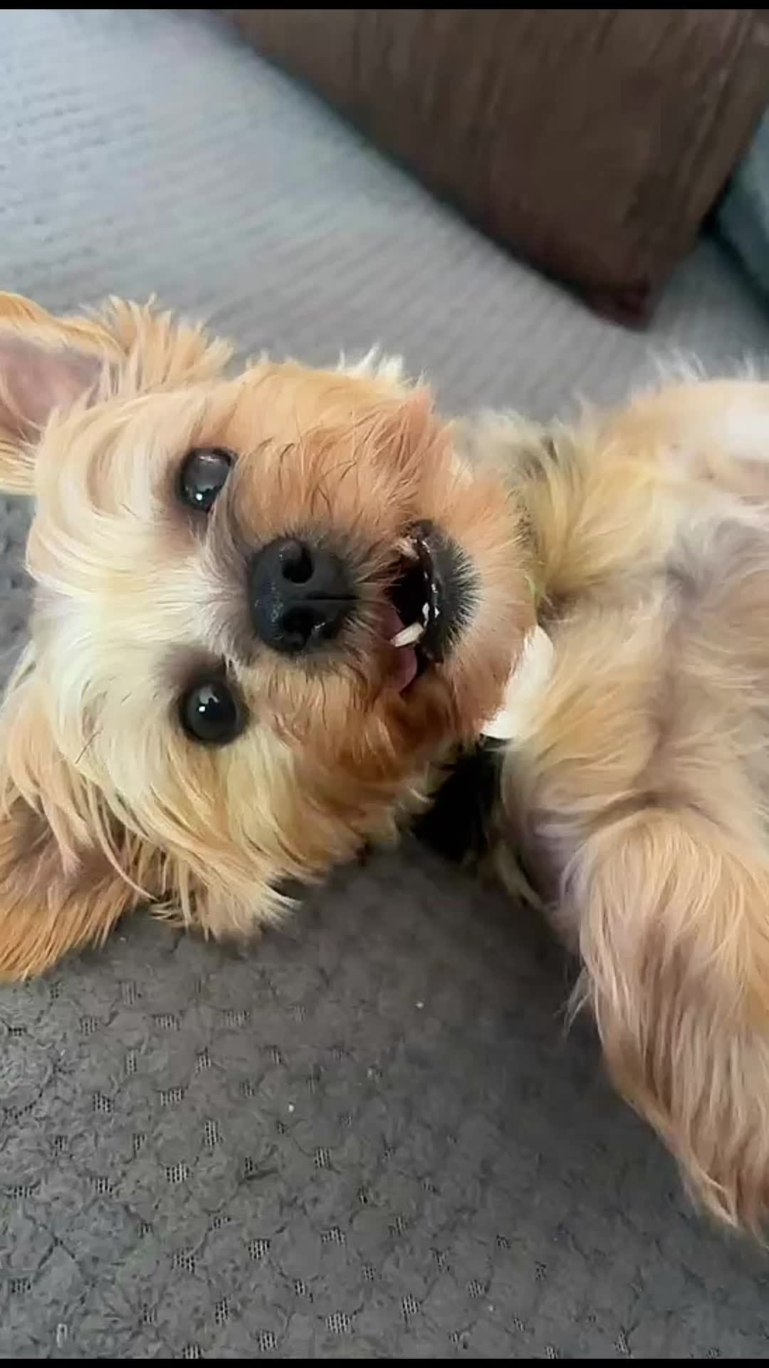 @Pepper_and_Peaches