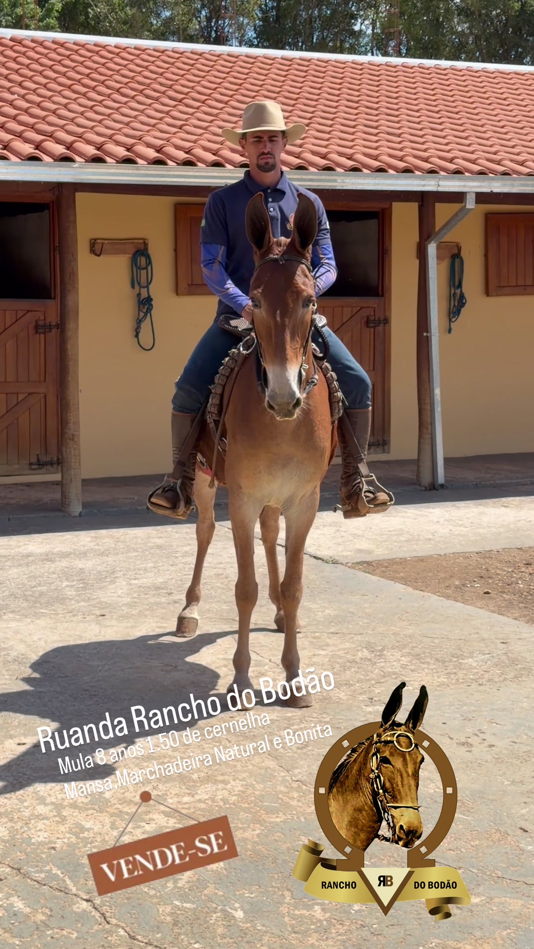 @Rancho do Bodão