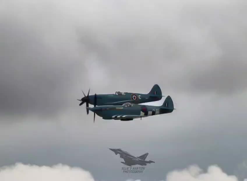 @ElliesArts&Aviation