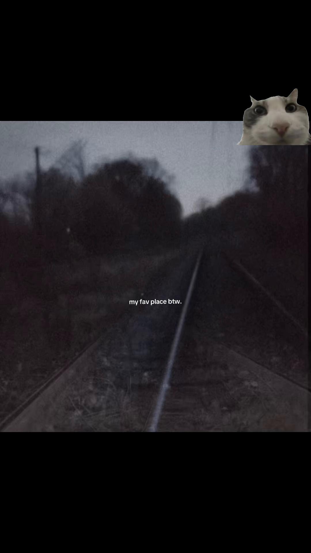 @<✰ Cₒ𝓴ₑ ✰>