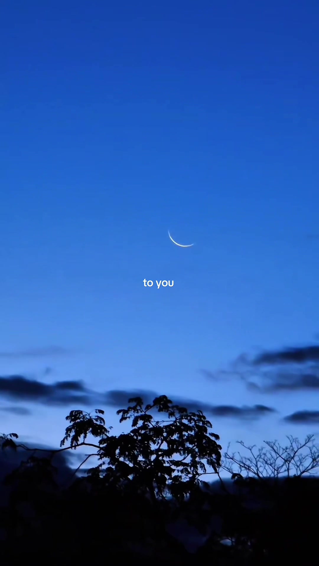 @𝐰𝐚𝐧𝐧.𝐜𝐥𝐮𝐛𝐳🎶