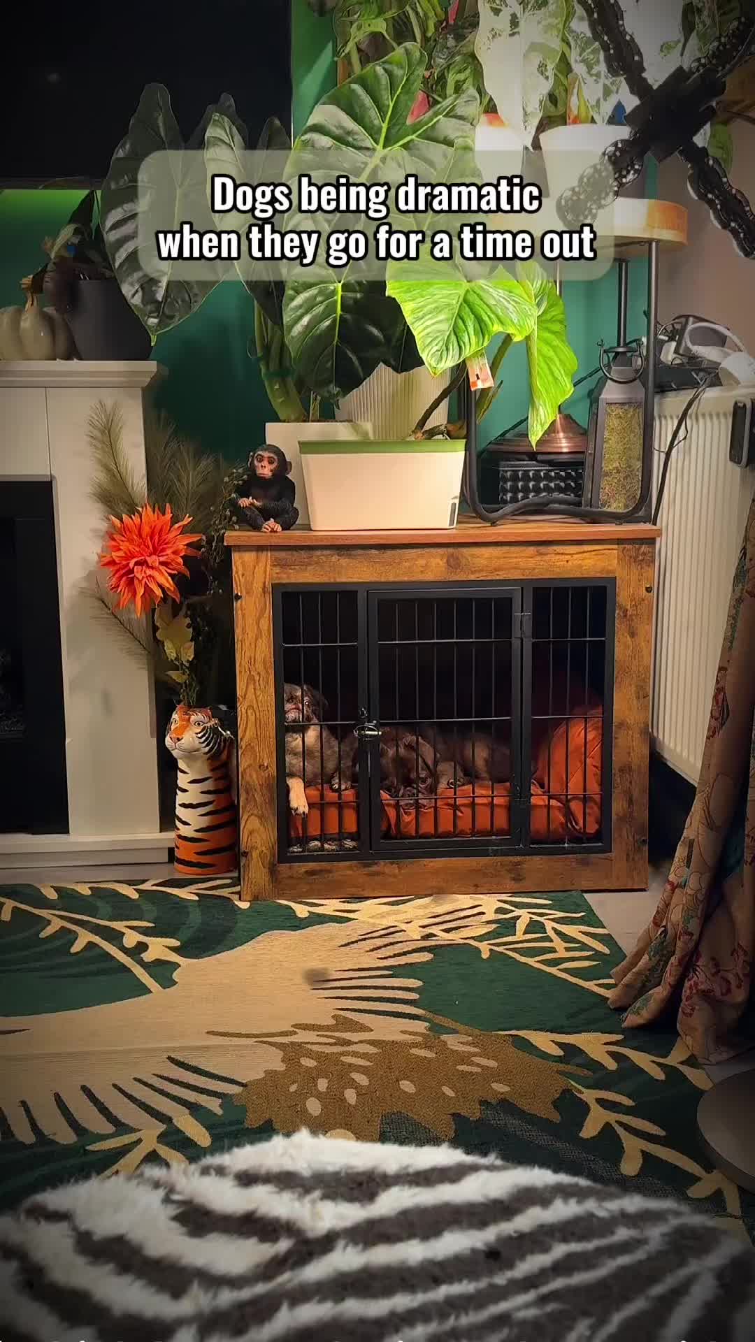 @ChilliThePug