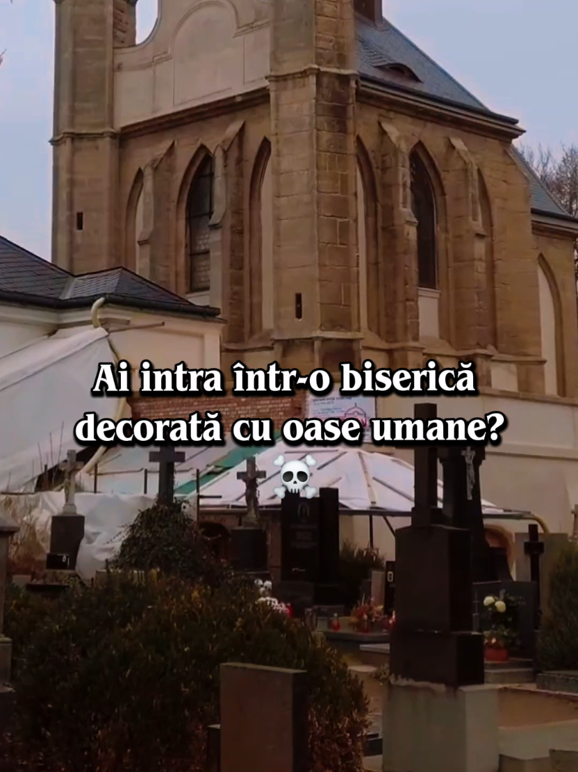 @Adina Manda
