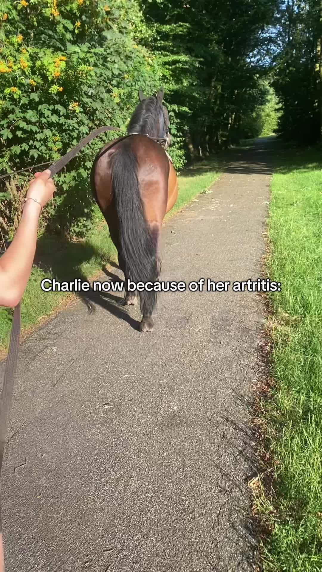 @🇳🇱Madelief🇳🇱