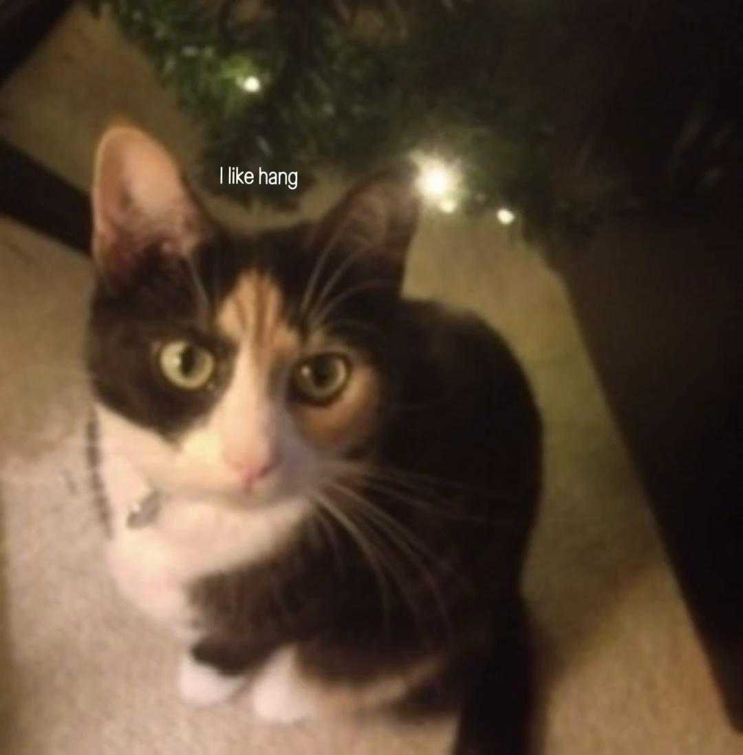 @CleoCleoCat