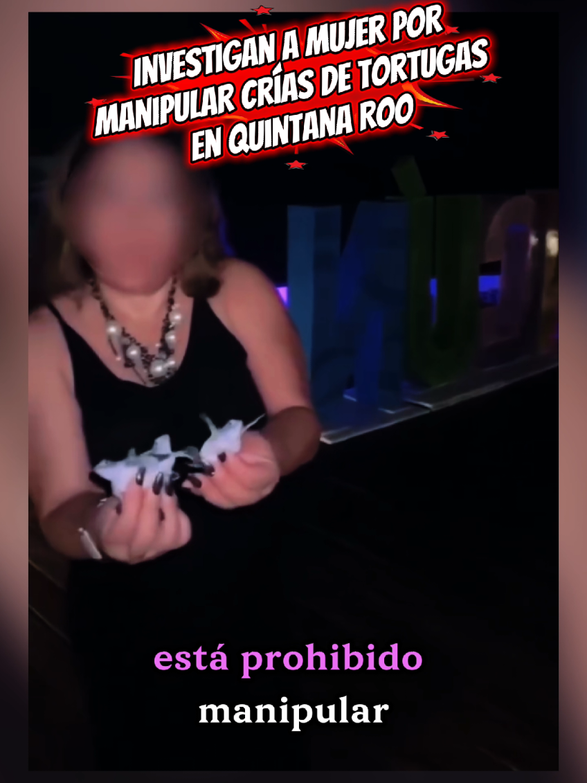 @En15TeloCuento_QROO