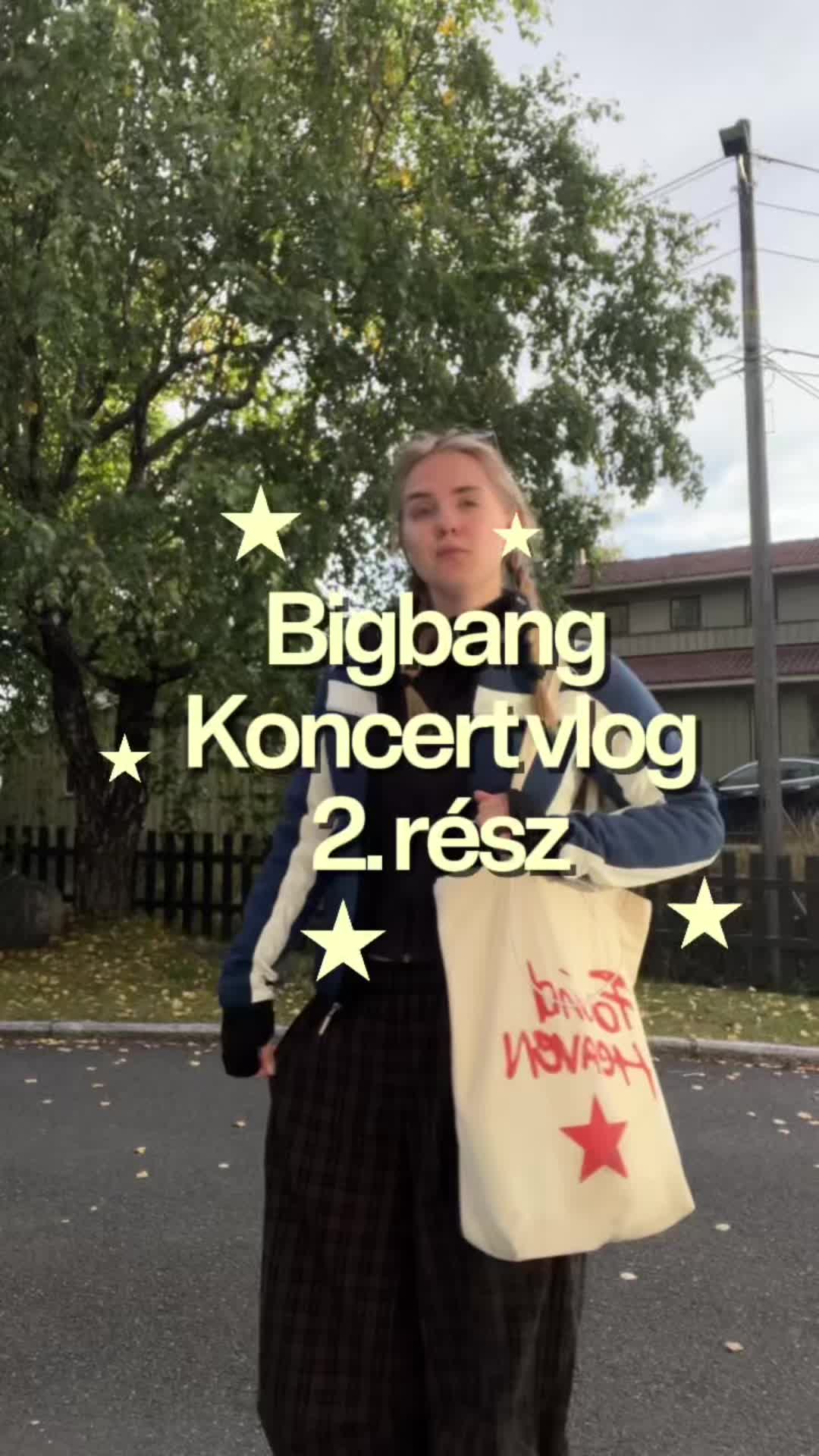 @aliz csereklei❀.ೃ࿔*