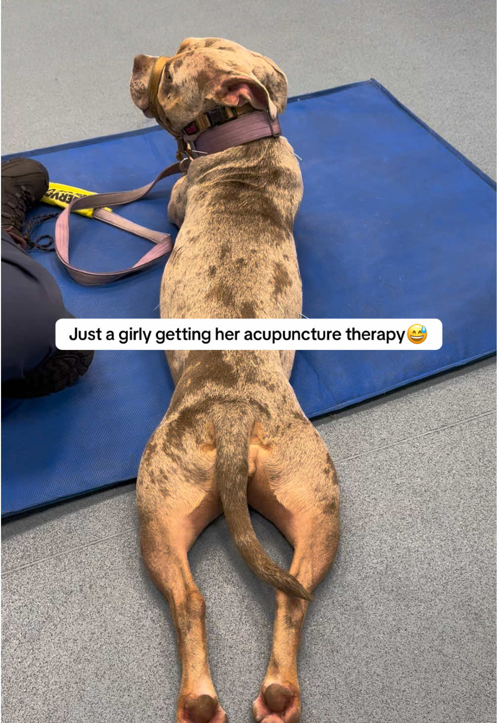 @Rue the Rescue