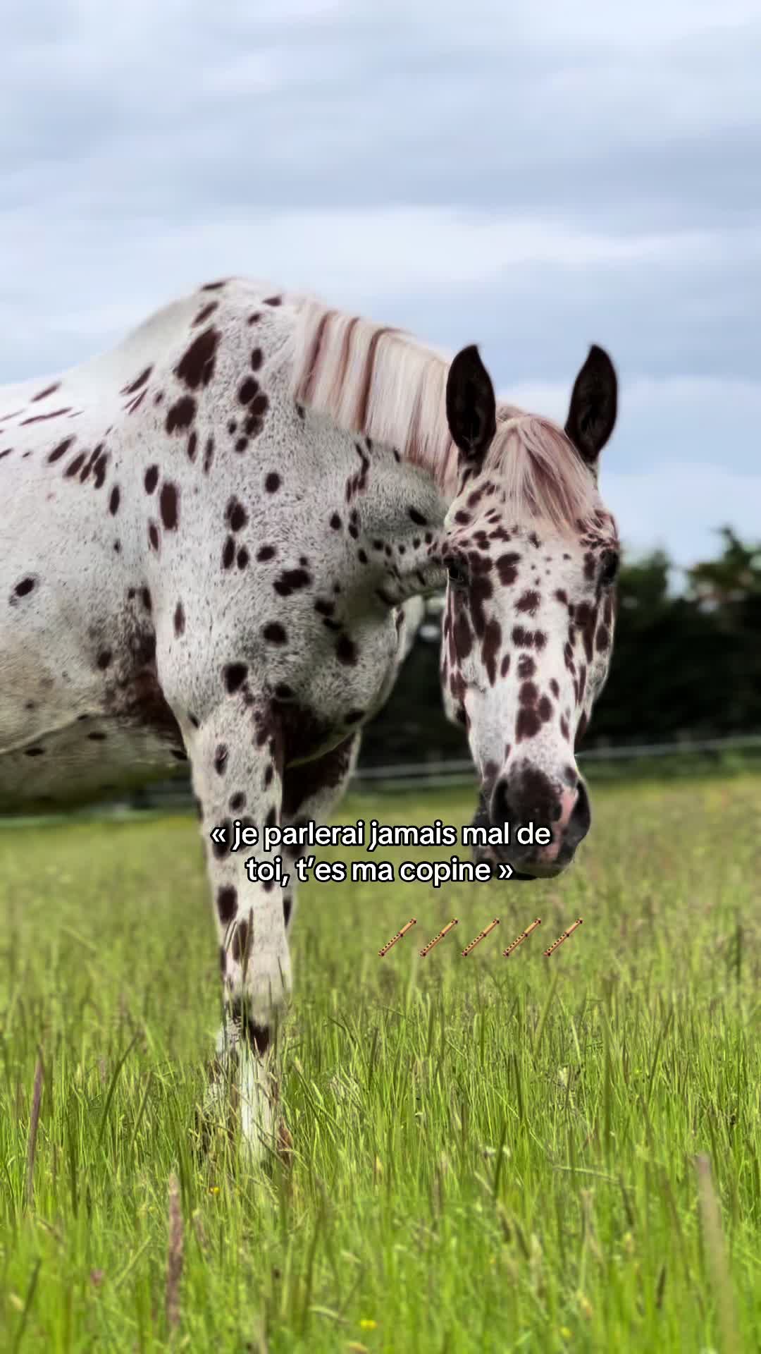 @léna
