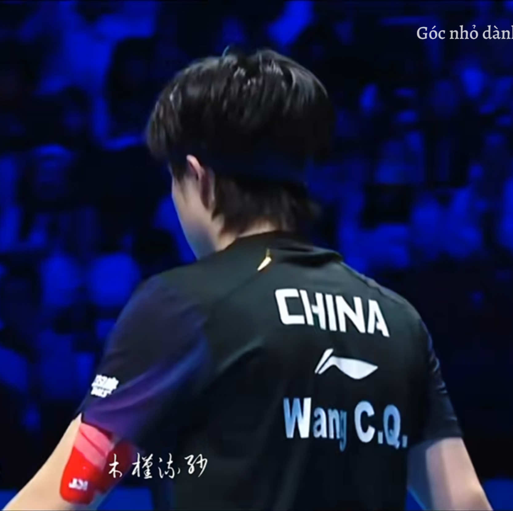 @Góc nhỏ dành cho ShaTou🦁🦈❤️