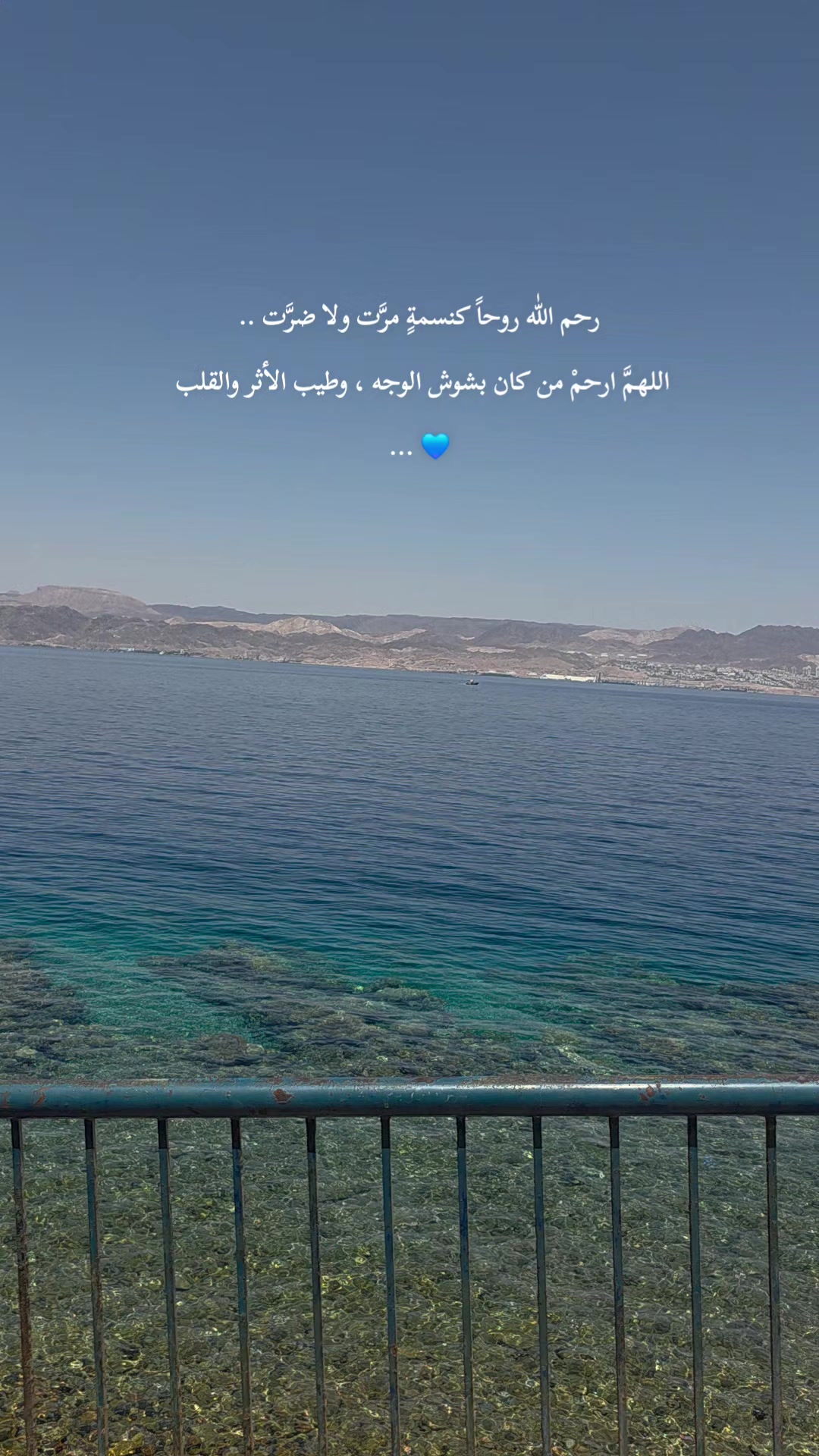 @لأَبْي ..🕊️رَوْحٌ ورَيْحان 🌿