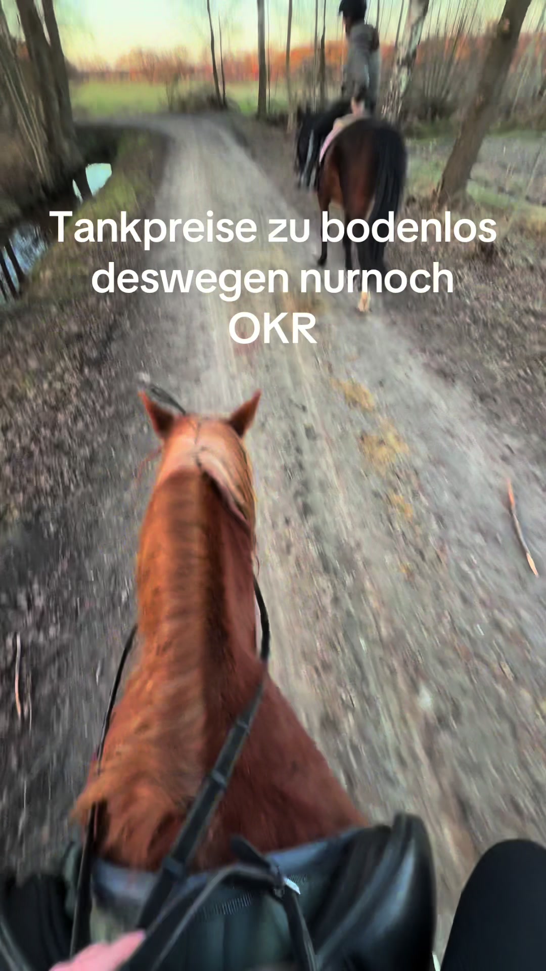 @Minii 🐝