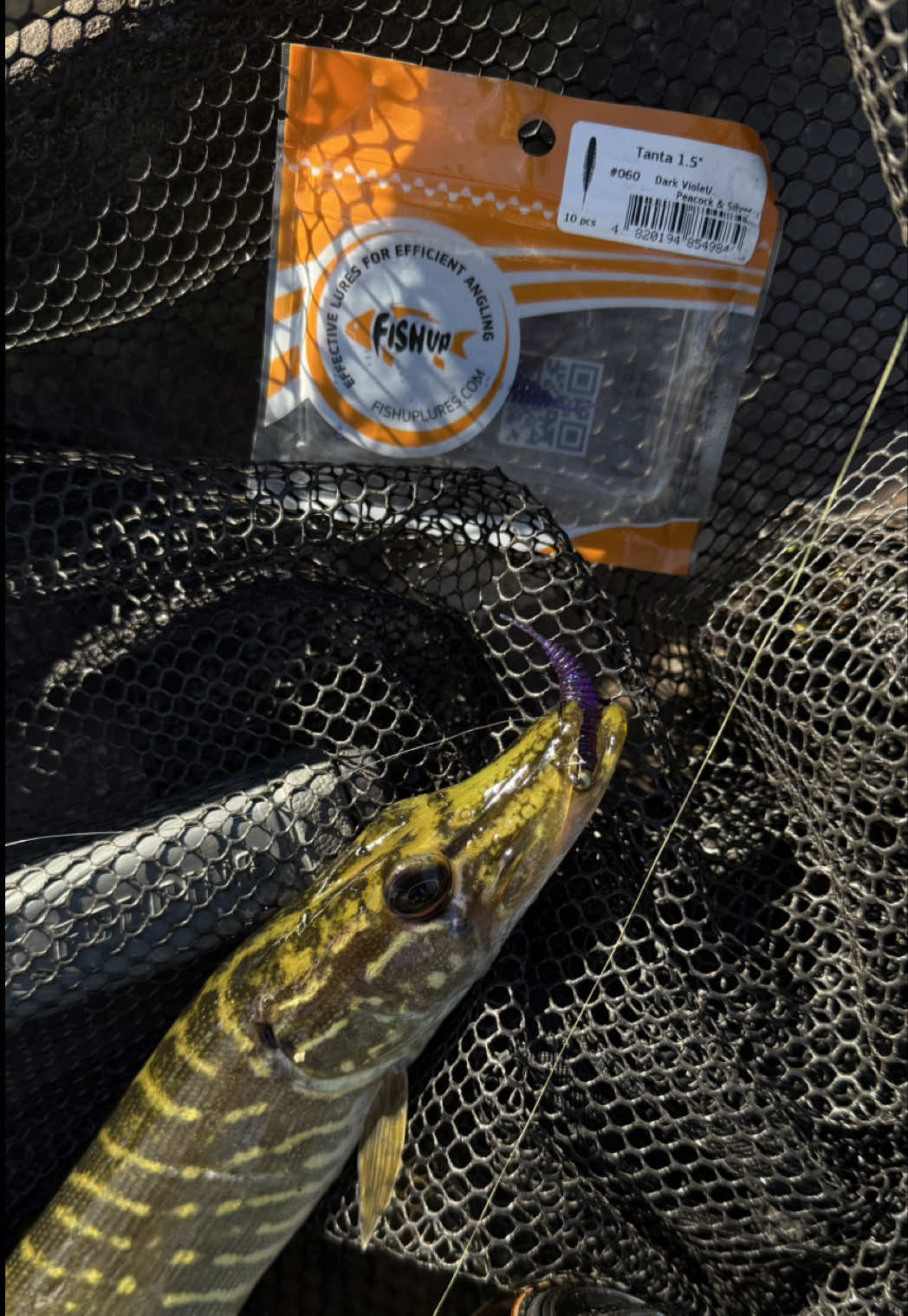 @robertmajewski.fishing