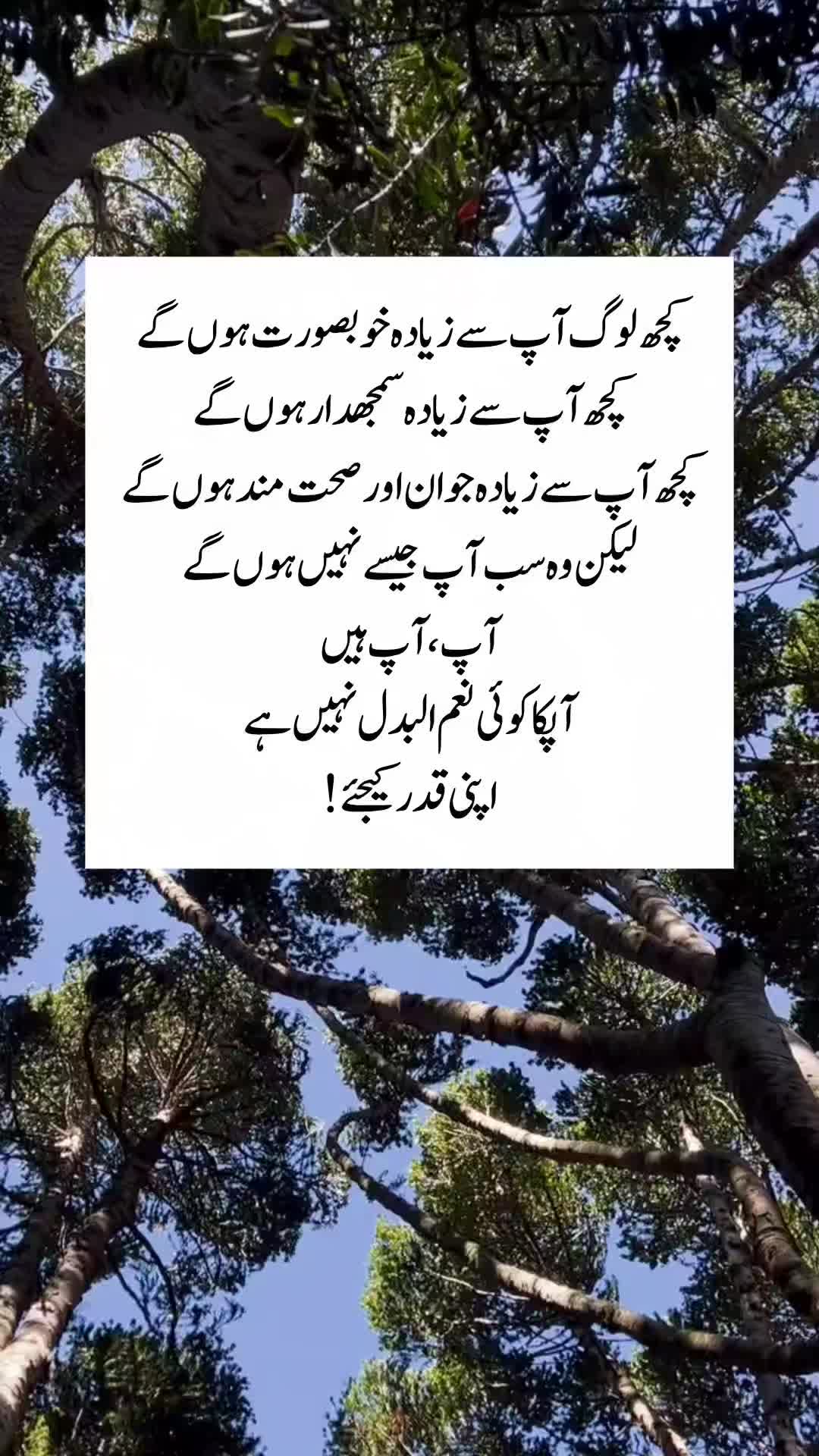 @Kainat Quotes