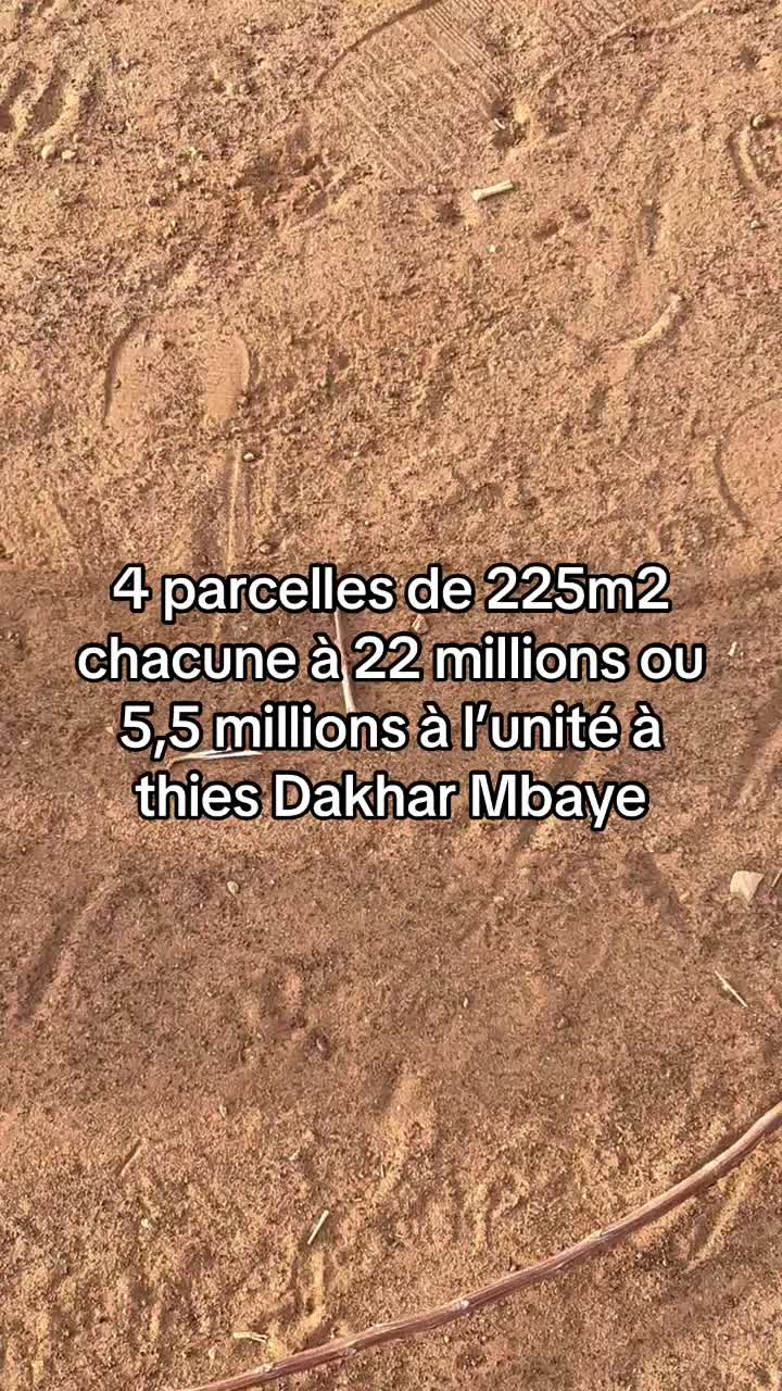 @Dioparisdakar