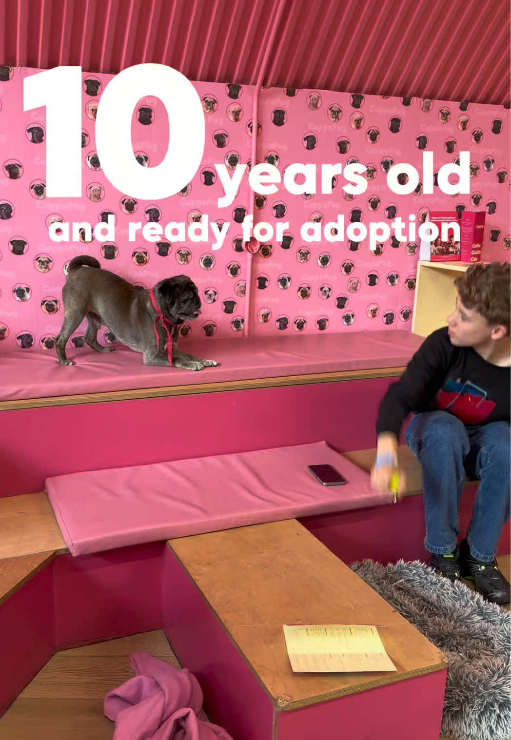 @CuppaPug