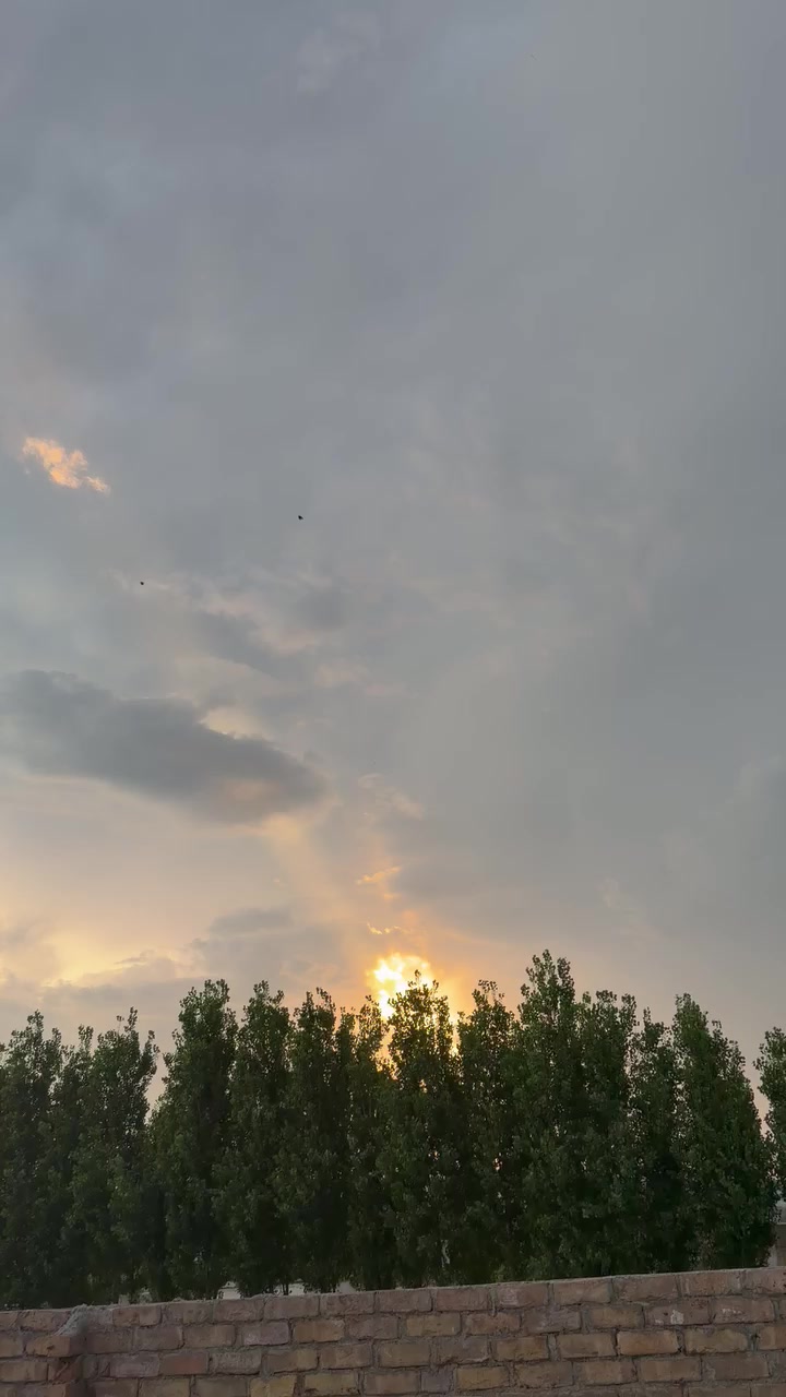 @Shumaila Akhtar