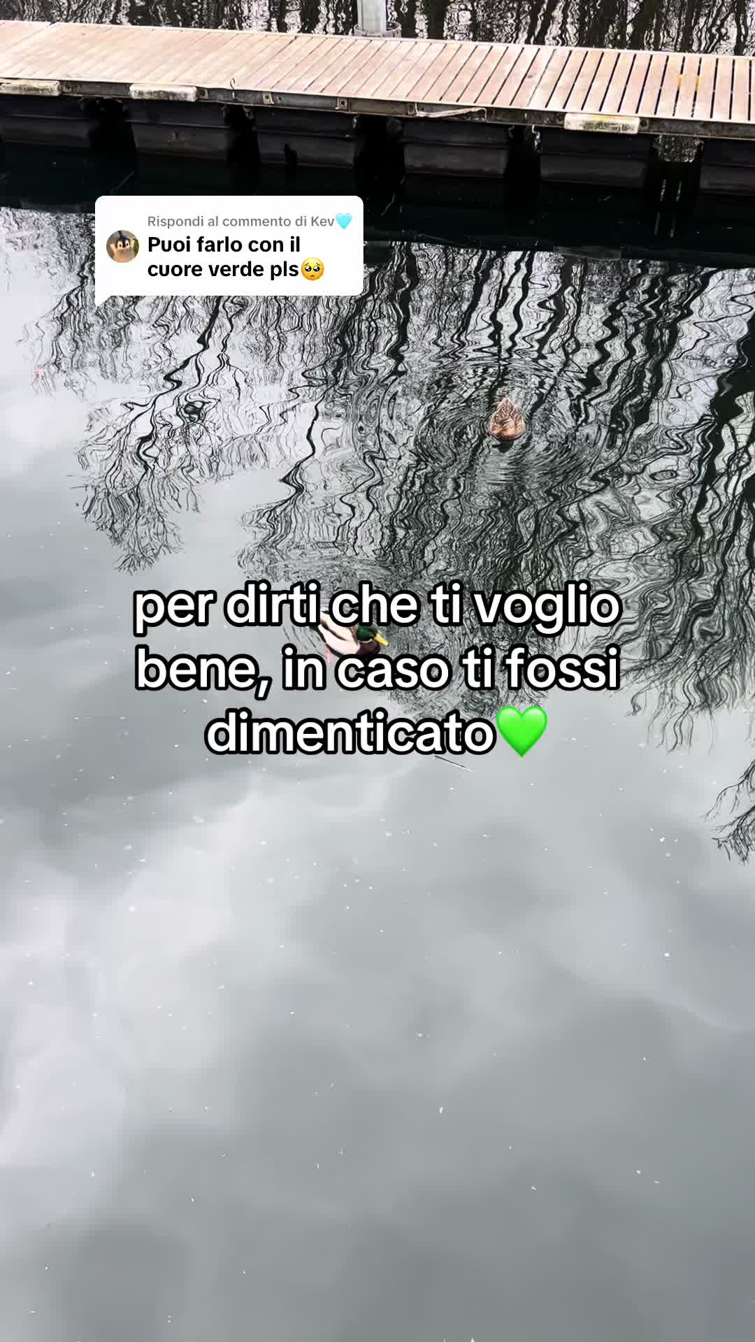 @daipassacisu__