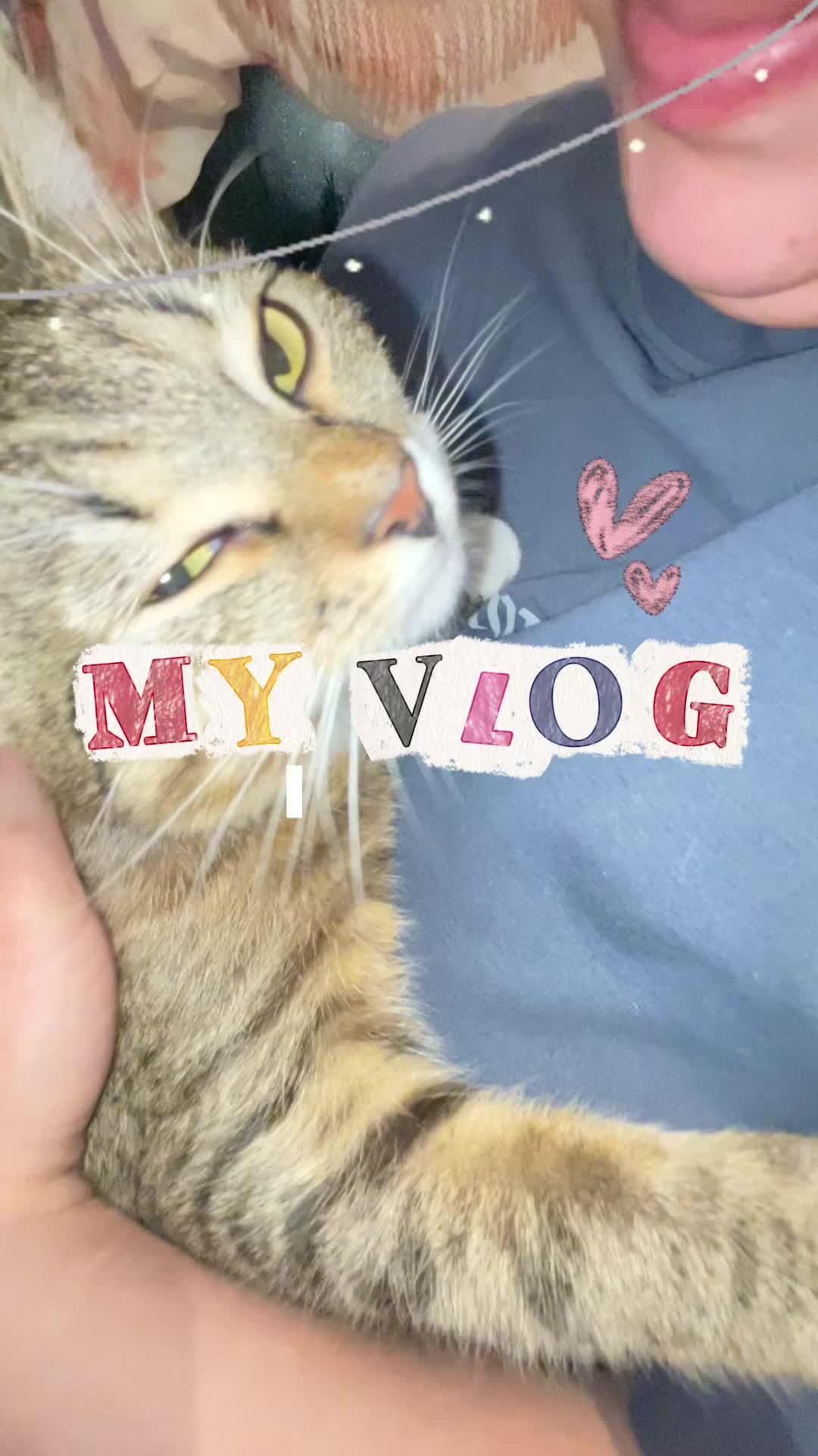 @коала рулит