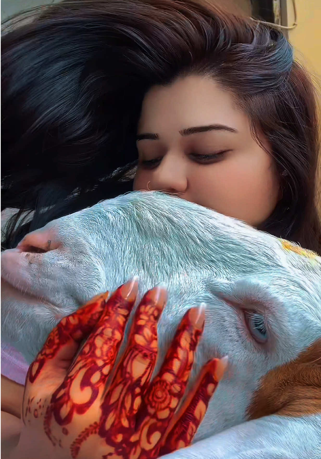 @fizakashif