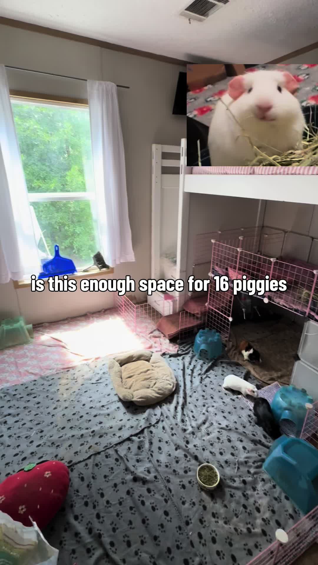 @l3ootyTicklez