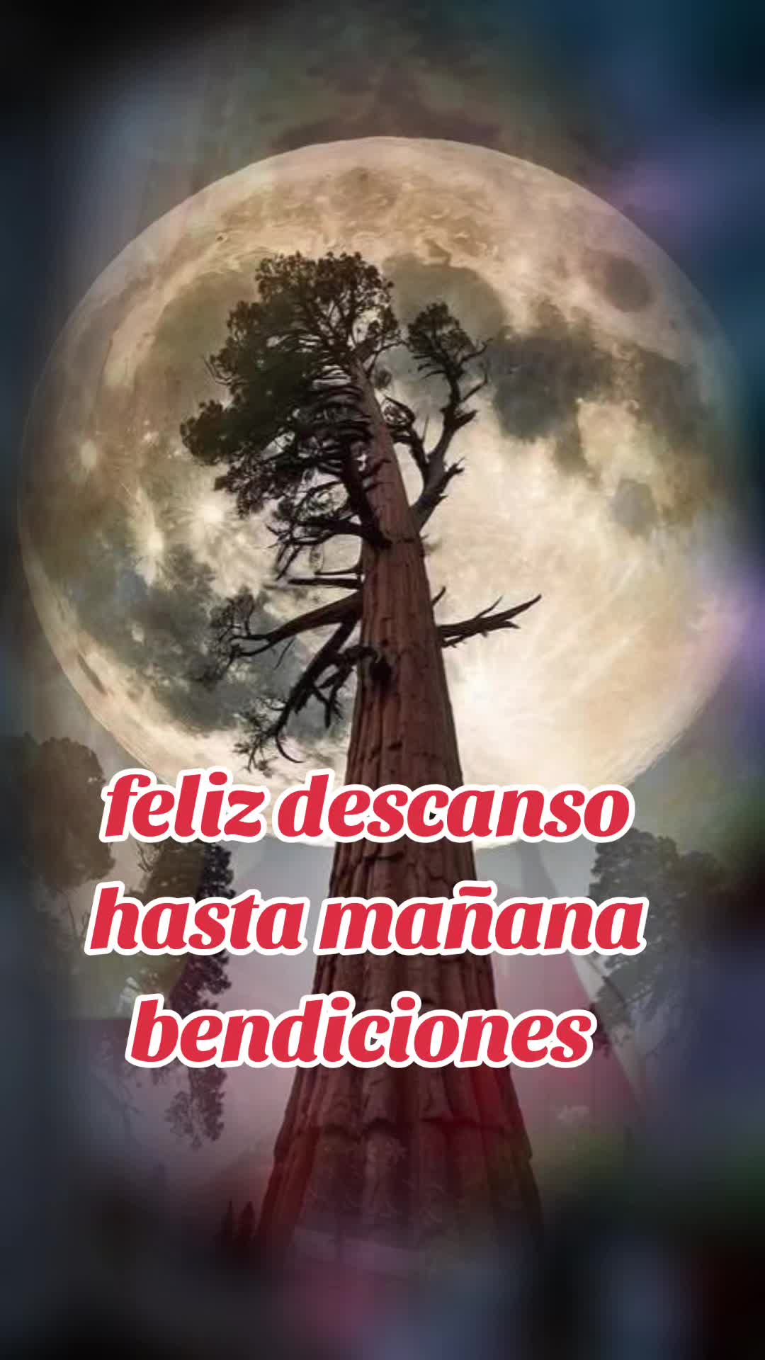 @★Romántico♠︎♥︎♣︎